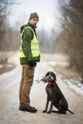 wye niemiecki, spinone italiano