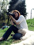 wye niemiecki, spinone italiano