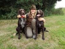 wye niemiecki, spinone italiano