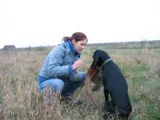 wy�e� niemiecki, spinone italiano